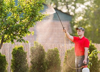 Lawn Care - Tree and Shrub Care